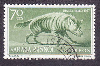 ŠPANIELSKA SAHARA 1957, Michel 176, razená. KOLÓNIE. HYENA.
