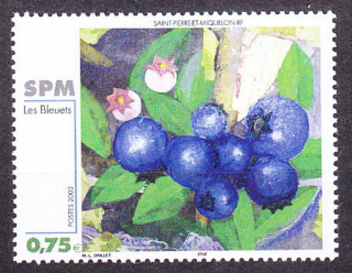 ST. PIERRE ET MIQUELON 2003, Michel 881, ** čistá séria. KOLÓNIE. MAĽBY - ČUČORIEDKY.