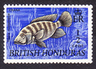 BRITSKÝ HONDURAS 1971, Michel 260, * čistá séria. KOLÓNIE. RYBY.