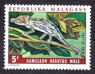 MADAGASCAR 1973, Michel 684, * čistá. CHAMELEÓN.