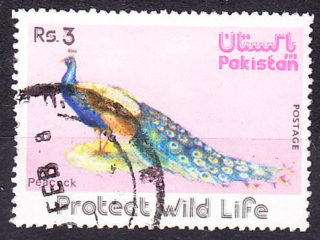 PAKISTAN 1976, Michel 408, razená. VTÁCTVO - PÁV.