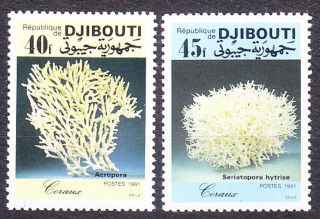 DŽIBUTSKO 1991, Michel 547-548, ** čistá séria. MORSKÉ KORALY.