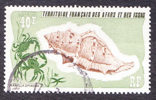 AFARS ET ISSAS 1975, Michel 117, razená séria. KOLÓNIE. MORSKÉ MUŠLE.