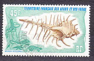 AFARS ET ISSAS 1975, Michel 140, razená séria. KOLÓNIE. MORSKÉ MUŠLE.