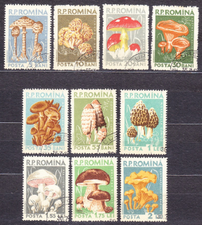 RUMUNSKO 1958, Michel 1721-1730, razená séria. HUBY.