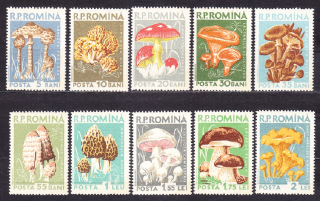 RUMUNSKO 1958, Michel 1721-1730, ** čistá séria. HUBY.