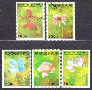 GUINEA 1995, Michel 1548-1552, razené. KVETY.