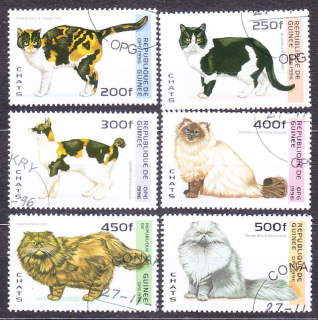 GUINEA 1996, Michel 1603-1608, razená séria. MAČKY.