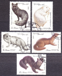 ZSSR 1980, Michel 4968-4972, razená séria. KOŽUŠINOVÉ ZVIERATÁ.