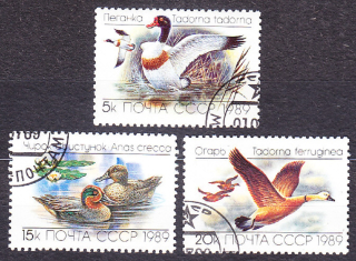 ZSSR 1989, Michel 5965-5967, razená séria. KAČICE A HUSI.