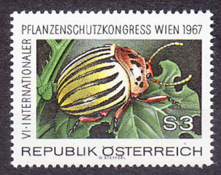 RAKÚSKO 1967, Michel 1243, ** čistá séria. PÁSAVKA ZEMIAKOVÁ.