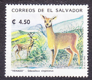 SALVADOR 1993, Michel 1908, razená. JELENE.