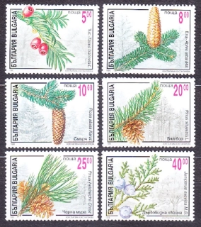 BULHARSKO 1996, Michel 4208-4213, ** čistá séria. IHLIČNATÉ STROMY.