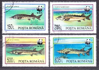 RUMUNSKO 1994, Michel 5034-5037, razená séria. WWF - RYBY.