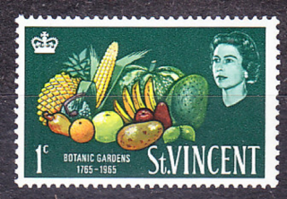 ST. VINCENT 1965, Michel 199, ** čistá. KOLÓNIE. KRÁĽOVNÁ ALŽBETA II. - TROPICKÉ OVOCIE.