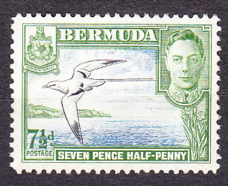 BERMUDA 1938, Michel 109, * čistá. KOLÓNIE. KRÁĽ GEORGE VI. - KRAJINY, VTÁCTVO.