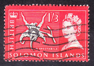 BRITISH SOLOMON ISLANDS 1965, Michel 122, razená. KOLÓNIE. KRÁĽOVNÁ ALŽBETA II. - ORCHIDEA.