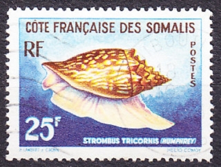 FRANCÚZSKE SOMÁLSKO 1962, Michel 345, razená. KOLÓNIE. MORSKÝ SLIMÁK.