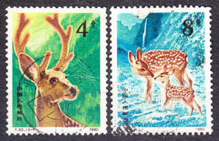 ČÍNA 1980, Michel 1621-1622, razené. JELEŇ SIKA.